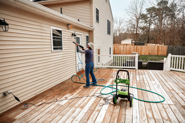 Best Pressure Washing Driveway  in Stedman, NC