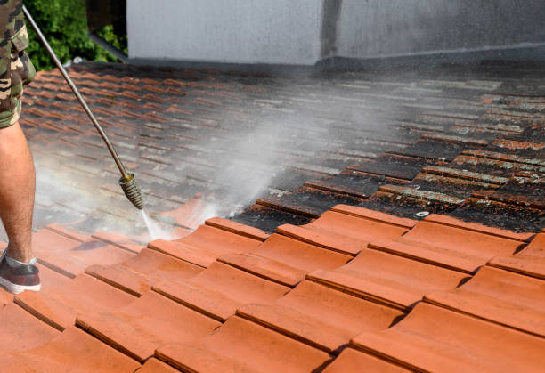 Best Roof Pressure Washing  in Stedman, NC