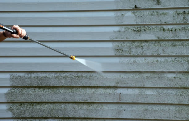 Best Deck Cleaning Services  in Stedman, NC